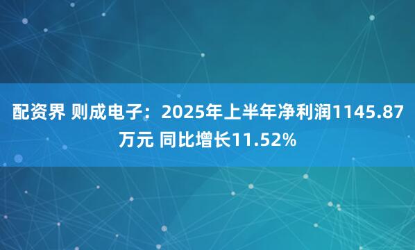 配资界 则成电子：2025年上半年净利润1145.87万元 同比增长11.52%