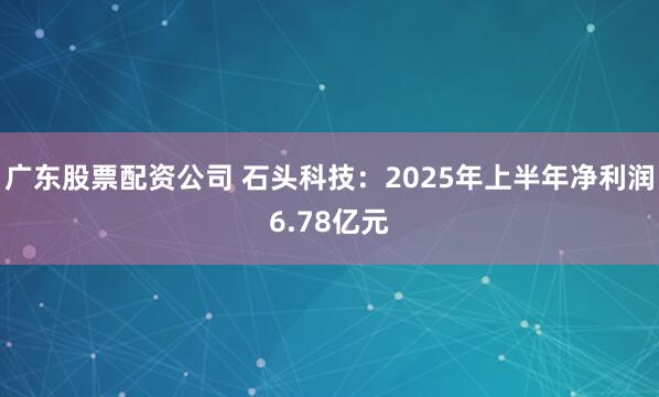 广东股票配资公司 石头科技：2025年上半年净利润6.78亿元