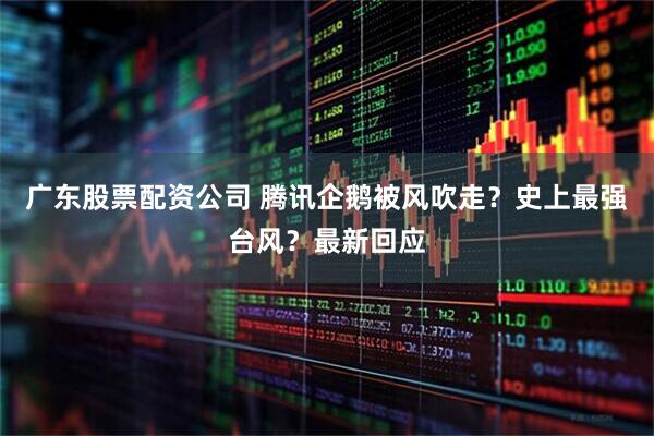 广东股票配资公司 腾讯企鹅被风吹走？史上最强台风？最新回应